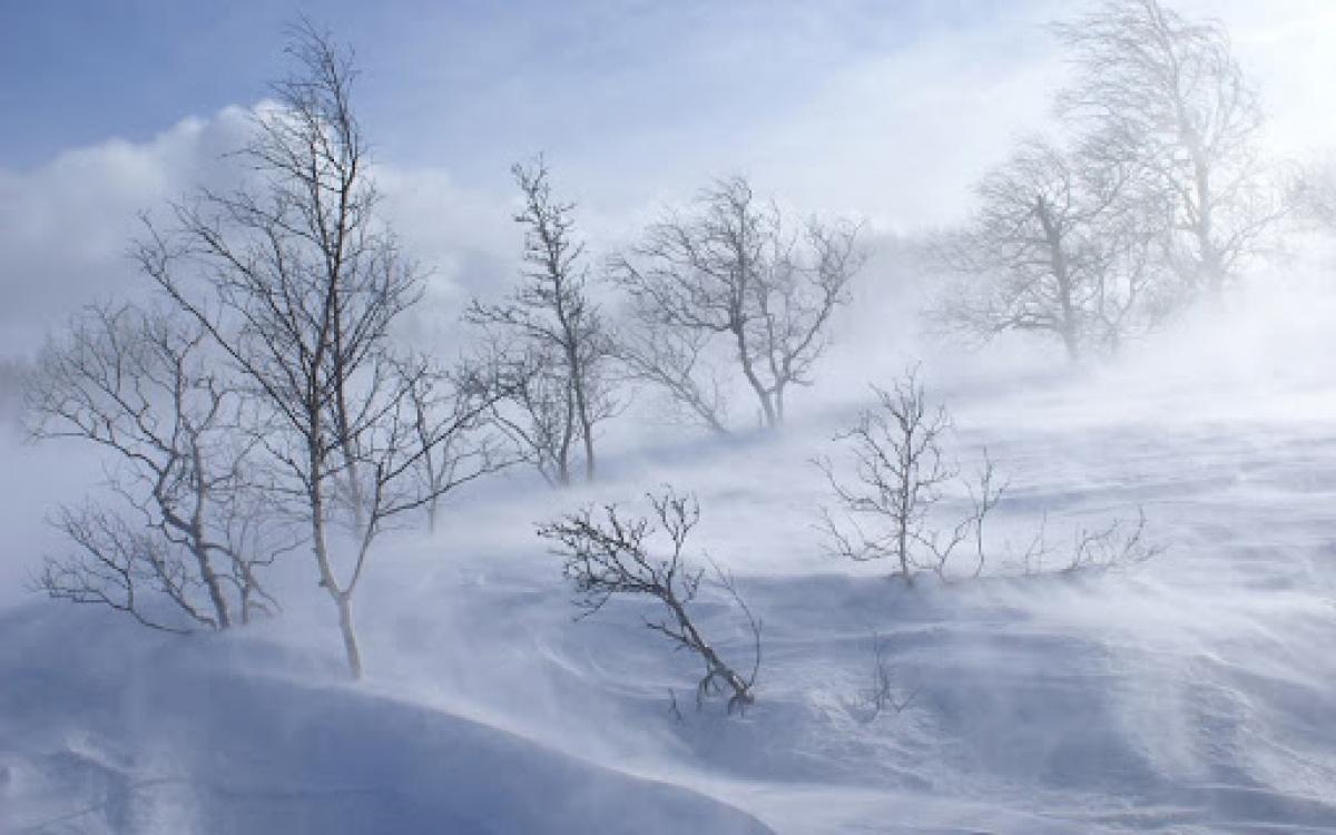 Баян-Өлгий, Ховд, Говь-Алтай, Хөвсгөл, Увс, Завхан аймгийн нутгаар хүчтэй цасан шуурга шуурна