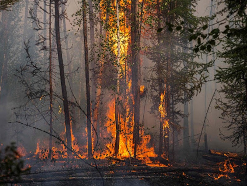 Сэлэнгэ аймгийн Эрдэнэцагаан суманд гарсан хээрийн түймрийг унтраахаар ажиллаж байна
